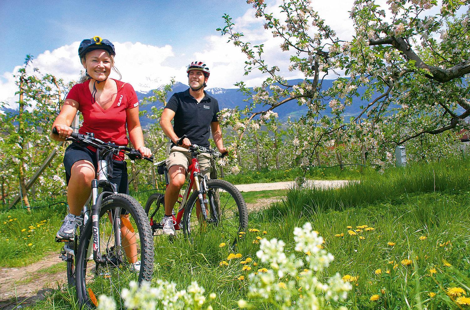 Gita in bicicletta tra gli alberi di mele in fiore a Lagundo