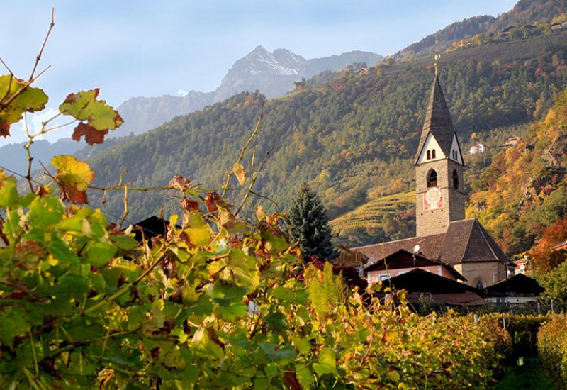 Goldener Herbst in Algund